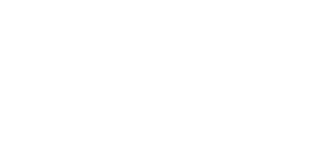 Pilot
