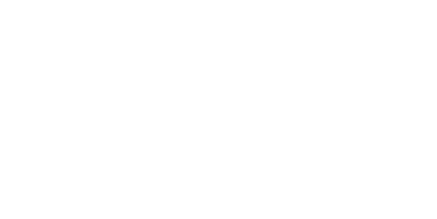 Pilot